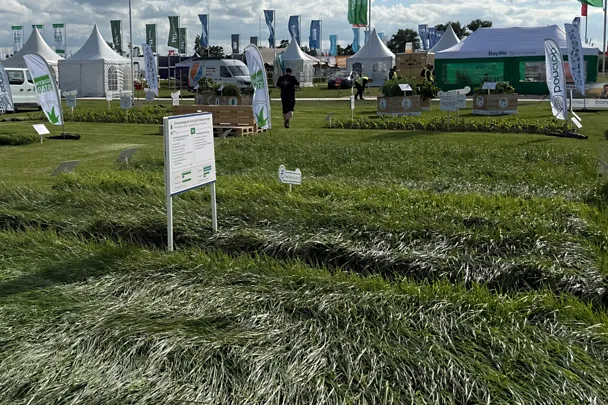Parzellen GreenStar Grassamen auf der Versuchsfläche der DLG-Feldtage 2026 Parzellen GreenStar Grassamen auf der Versuchsfläche der DLG-Feldtage 2026