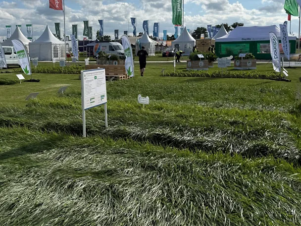 Parzellen GreenStar Grassamen auf der Versuchsfläche der DLG-Feldtage 2026