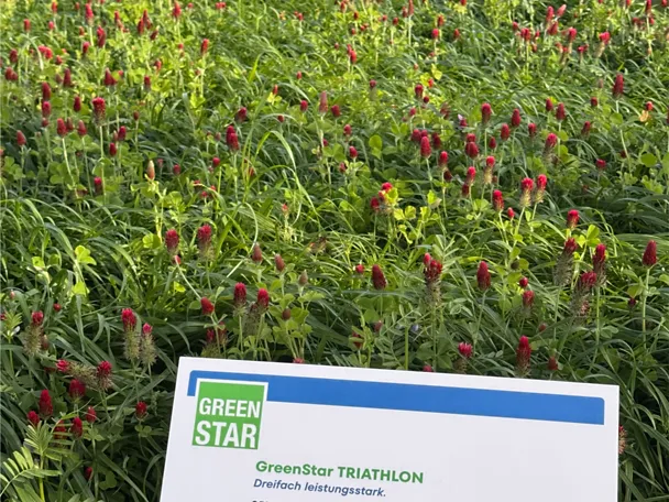 GreenStar TRIATHLON - Parzelle auf der Versuchsfläche der DLG-Feldtage 2026 GreenStar TRIATHLON - Parzelle auf der Versuchsfläche der DLG-Feldtage 2026