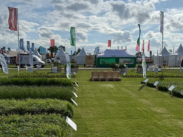 GreenStar-Parzellen und Hochbeete - Standgestaltung DLG-Feldtage 2026