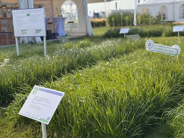 GreenStar STRUKTUR PROTA - Parzelle auf der Versuchsfläche der DLG-Feldtage 2026 GreenStar STRUKTUR PROTA - Parzelle auf der Versuchsfläche der DLG-Feldtage 2026