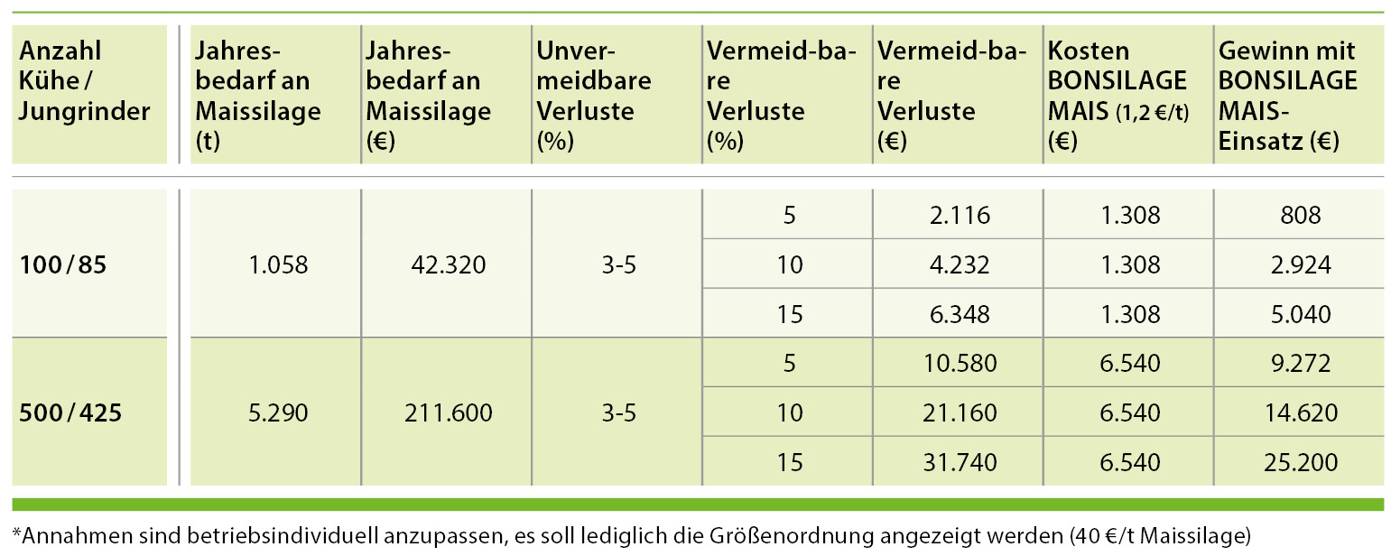 Trockenmasser-Verluste im Mais