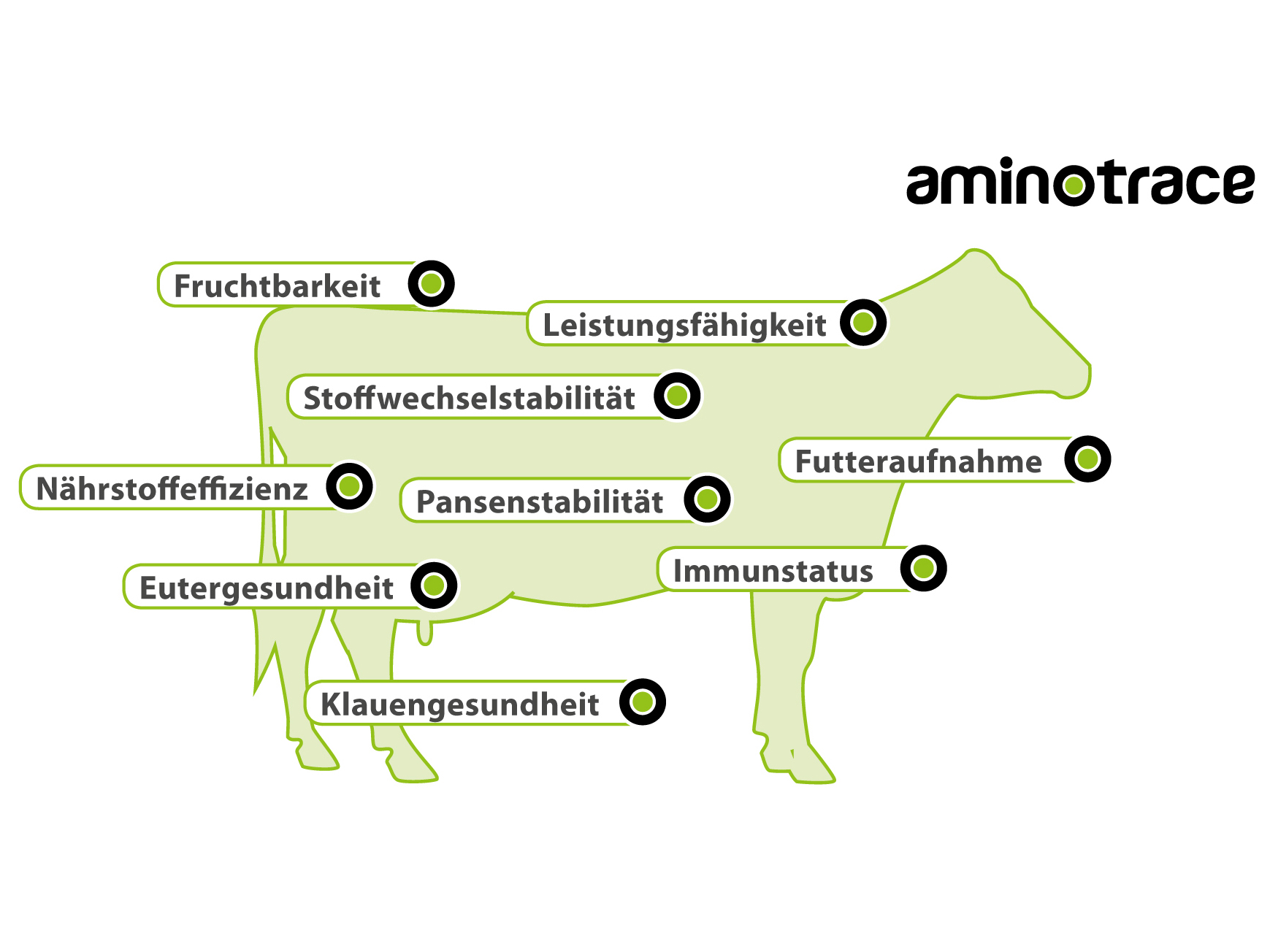 AMINOTRACE bei Rindern