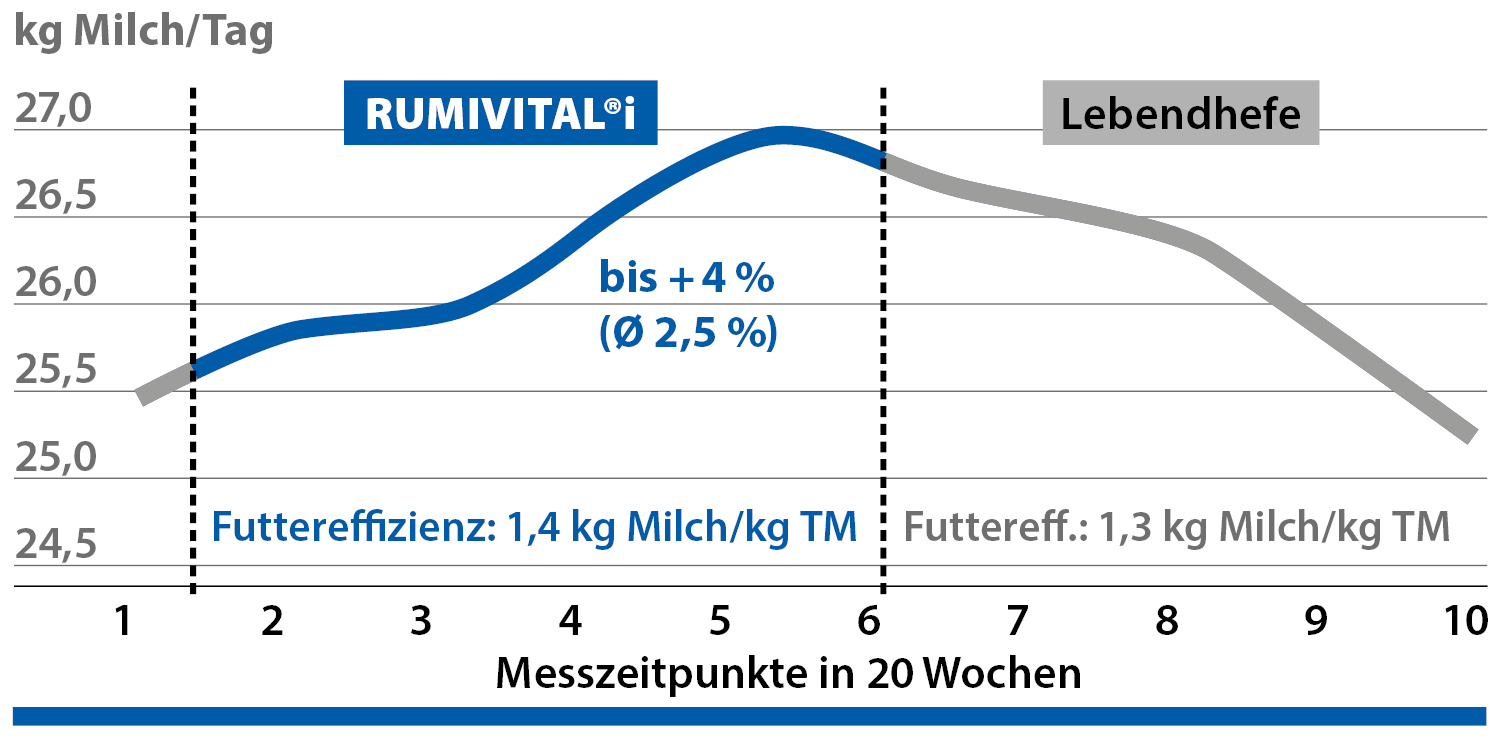 Rumivital®i verbessert die Futterumsetzung