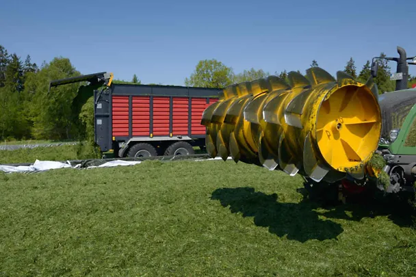 Grassilierung