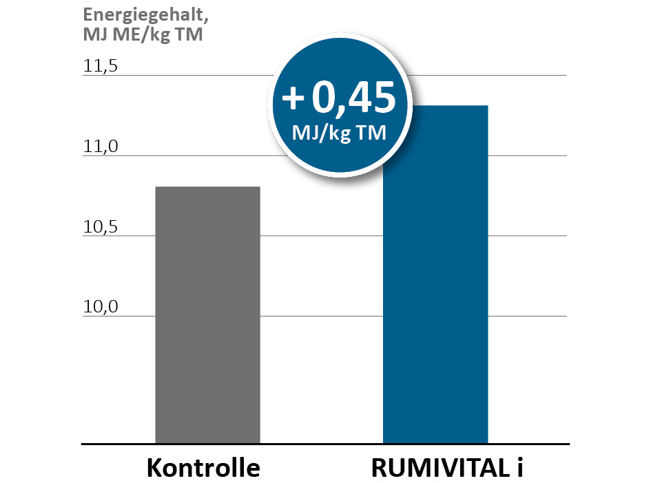 RUMIVITAL®i erhöht den Energiegehalt
