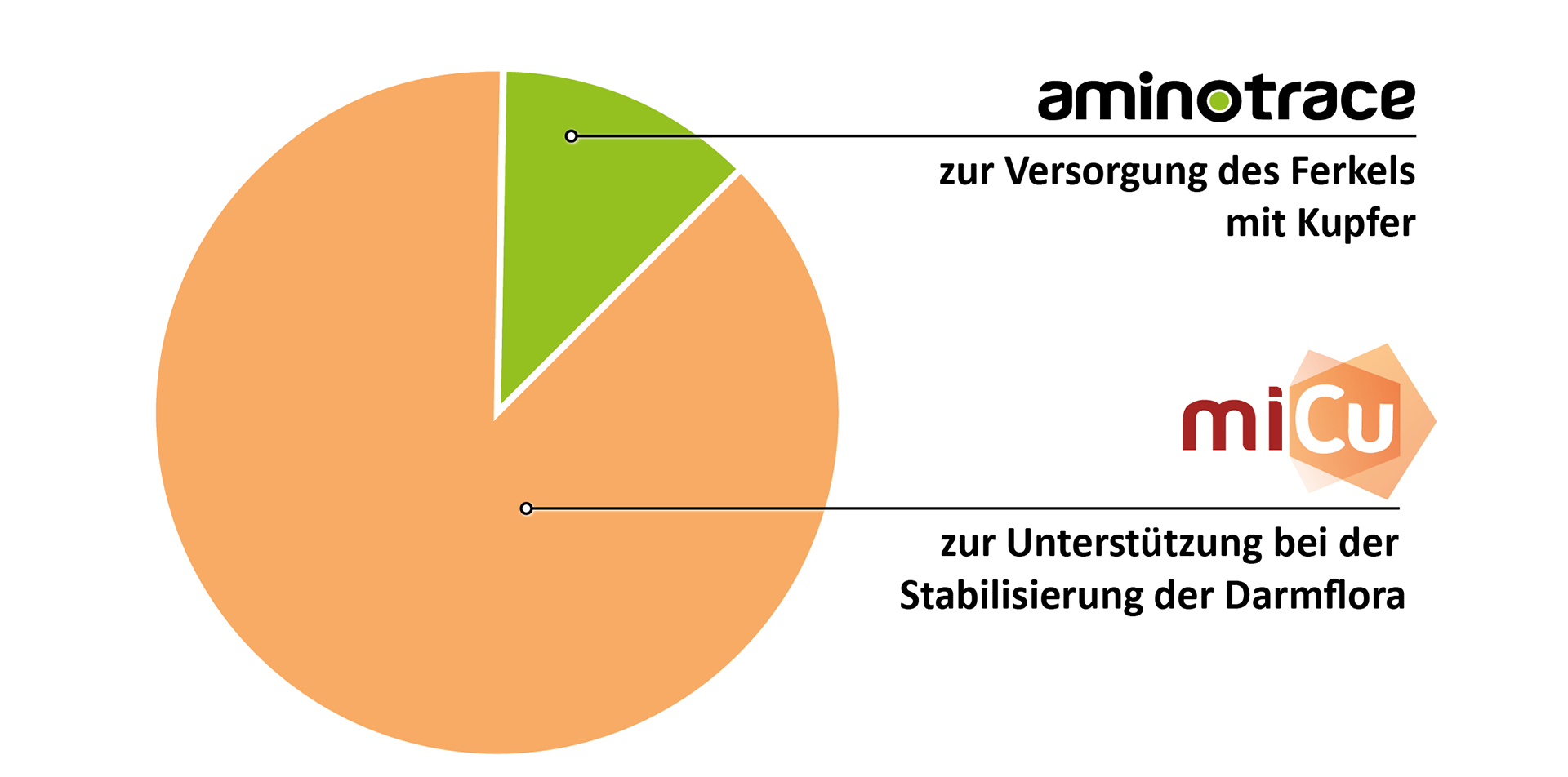 Optimale Versorgung der Ferkel Optimale Versorgung der Ferkel