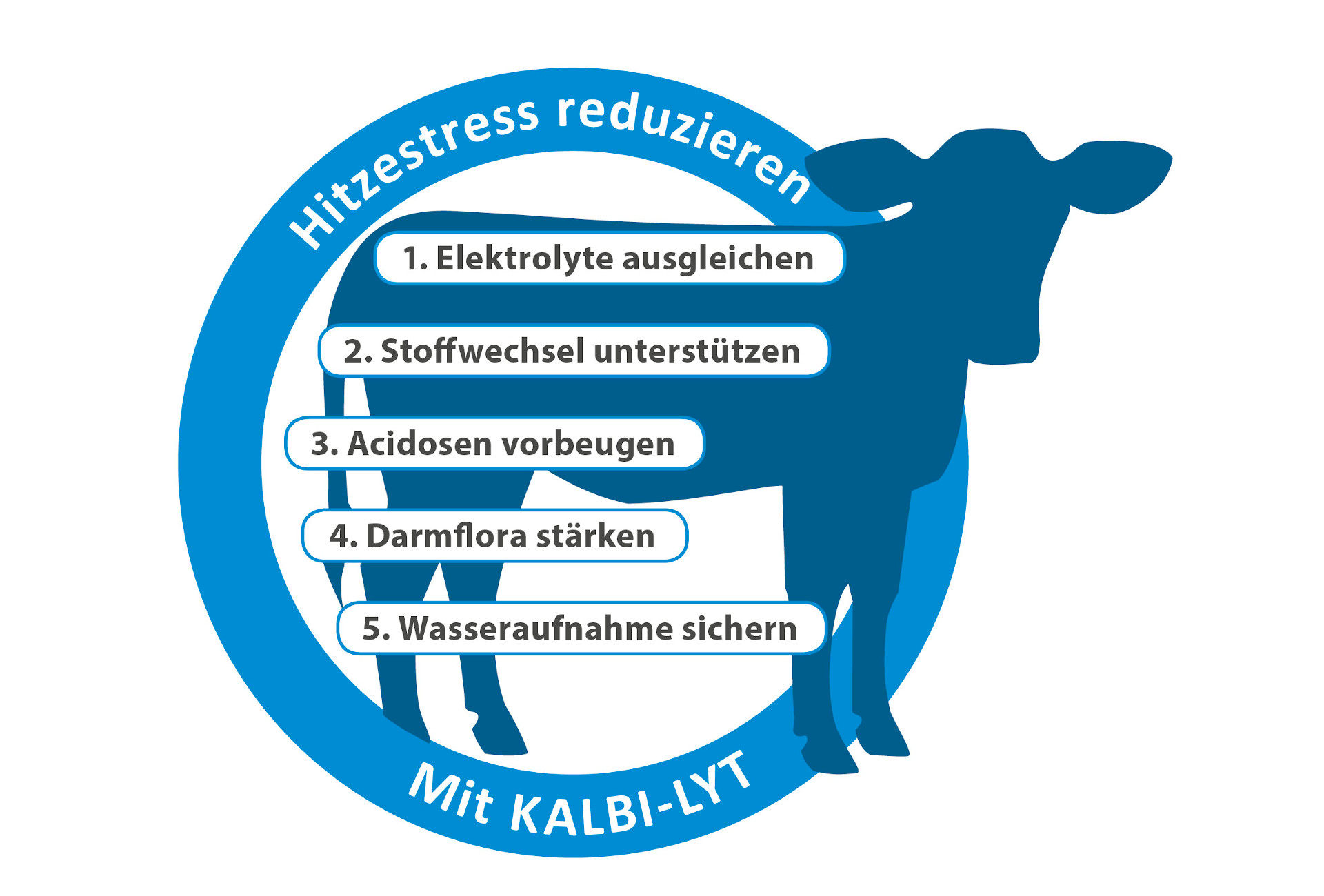 KALBI-LYT gleicht Schweißverluste aus