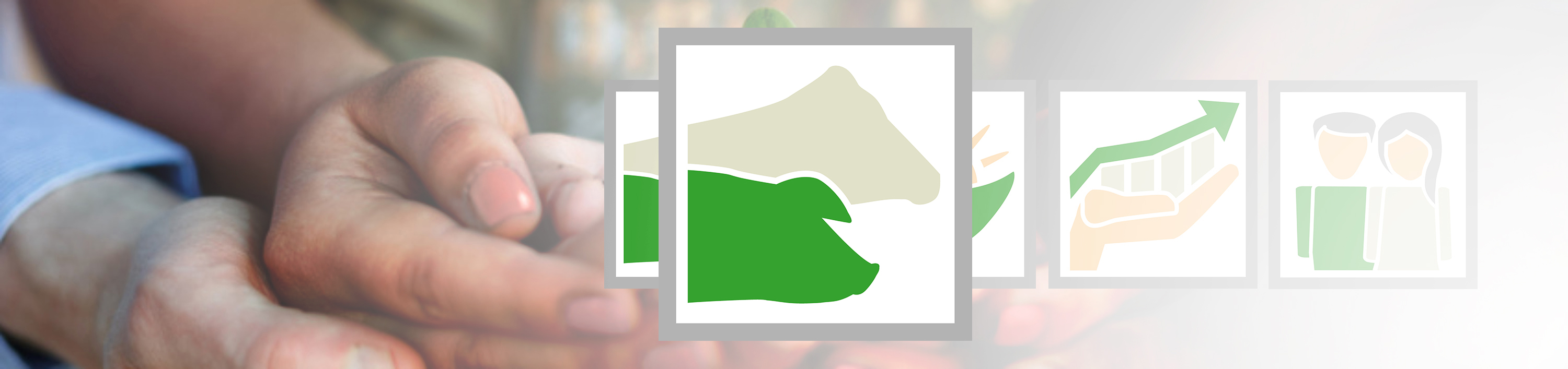 Nachhaltigkeit bei SCHAUMANN Tierwohl