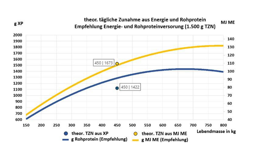 Cow-how beef zeigt die Tageszunahmen aus Protein und Energie