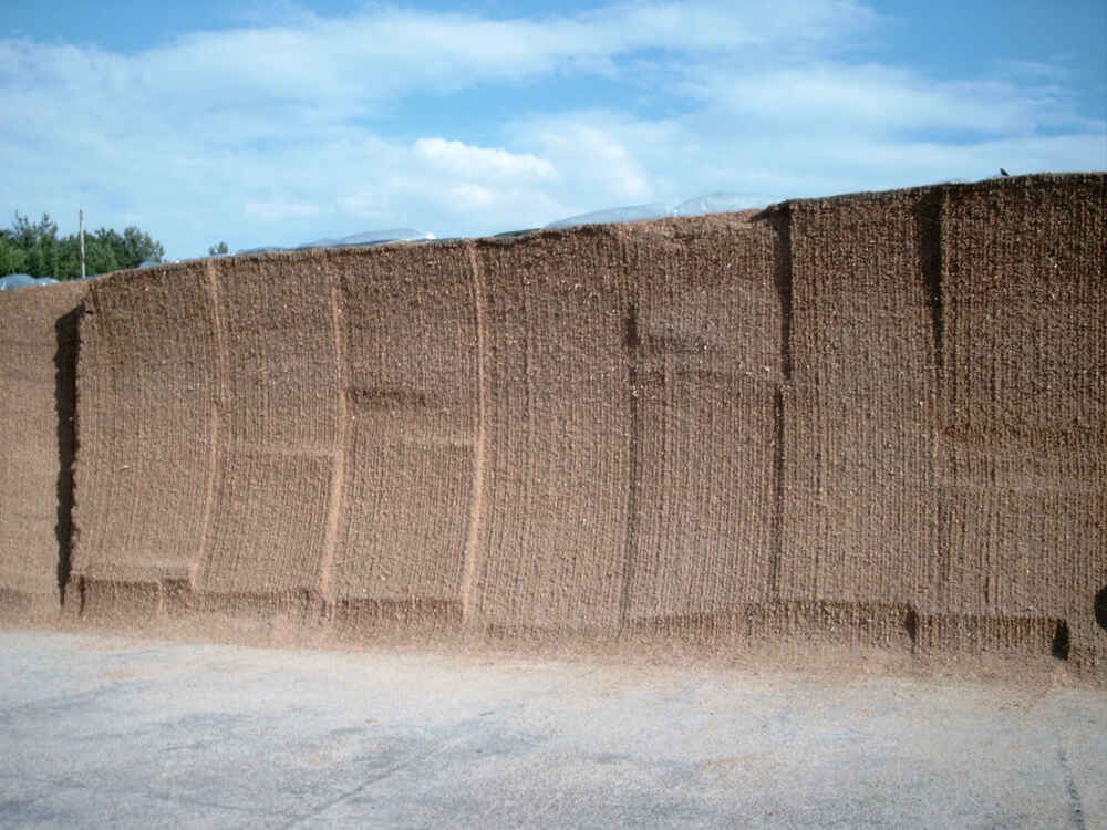 BONSILAGE-Produkte für Maissilagen helfen teure TM-Verluste vermeiden