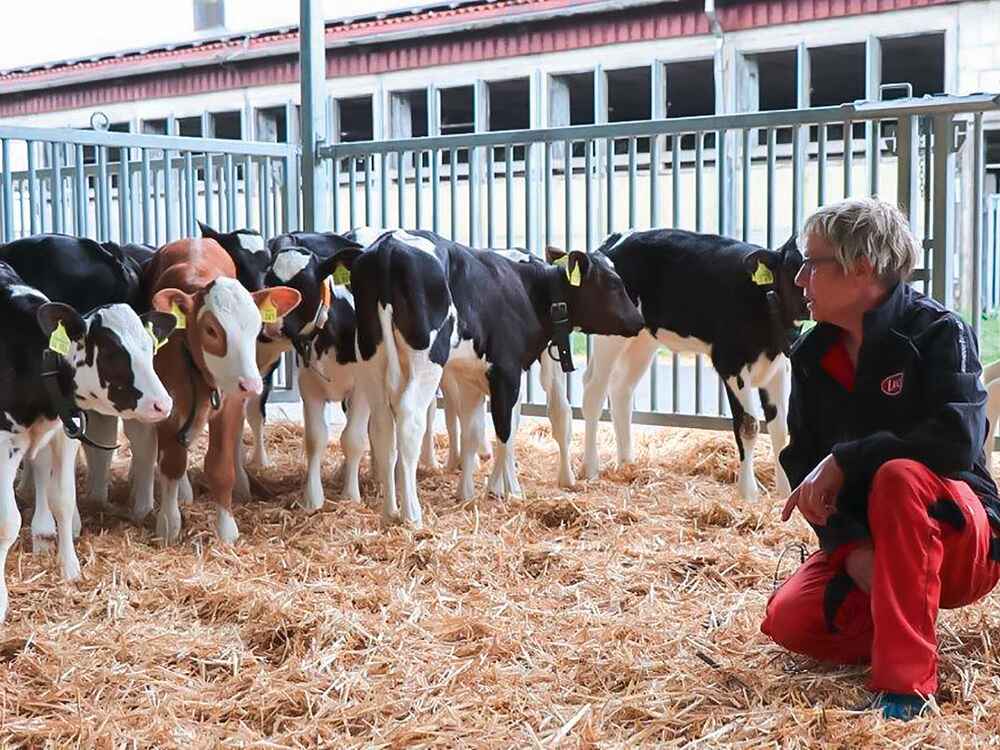 Agrargenossenschaft Königsee: Mehr Sicherheit und Stabilität beim Tränken