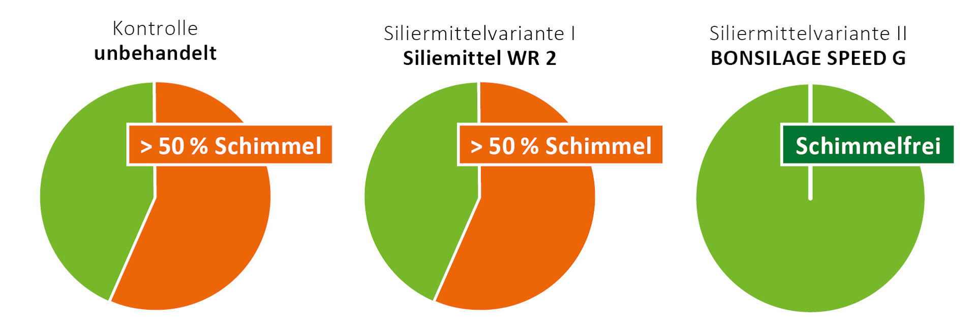 Visuelle Einschätzung der Proben