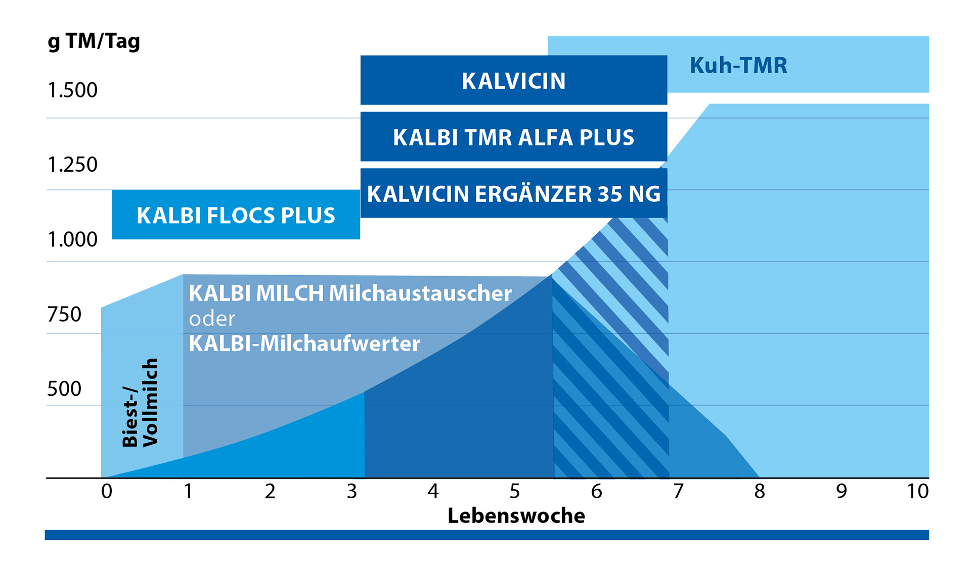 GVO-freie Kälberaufzucht mit SCHAUMANN