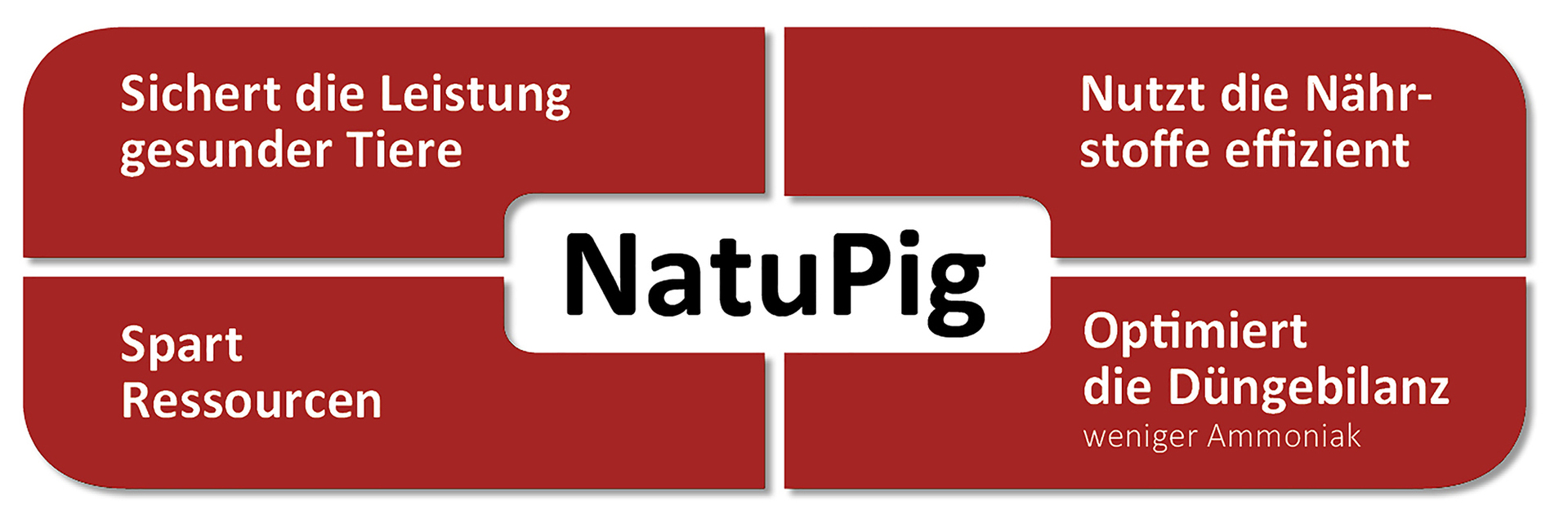 NATUPIG in der Schweinemast