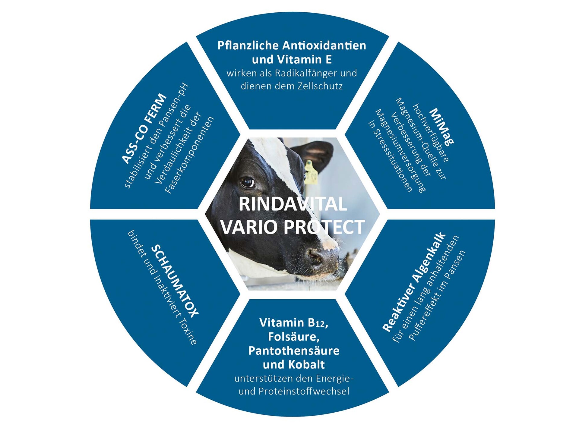 Bausteine in RINDAVITAL VARIO PROTECT