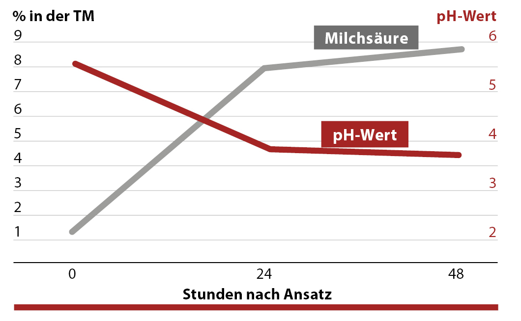 SCHAUMALAC FEED PROTECT beschleunigt die Fermentation