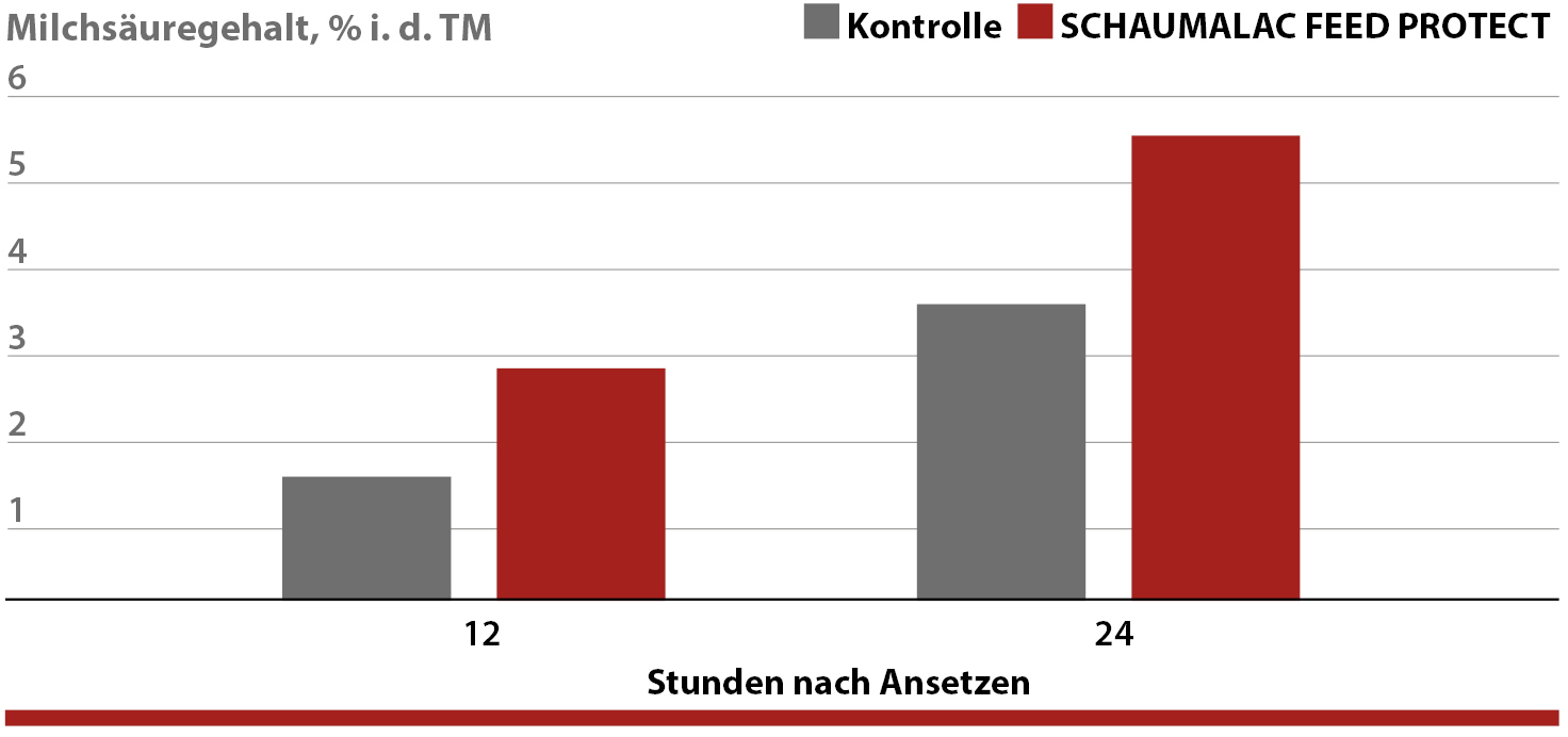 Milchsäuregehalt mit SCHAUMALAC FEED PROTECT