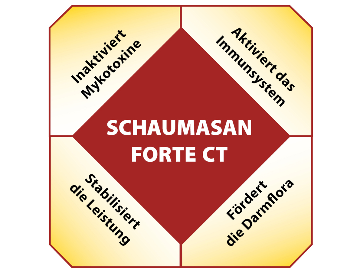Wirkung von SCHAUMASAN FORTE CT
