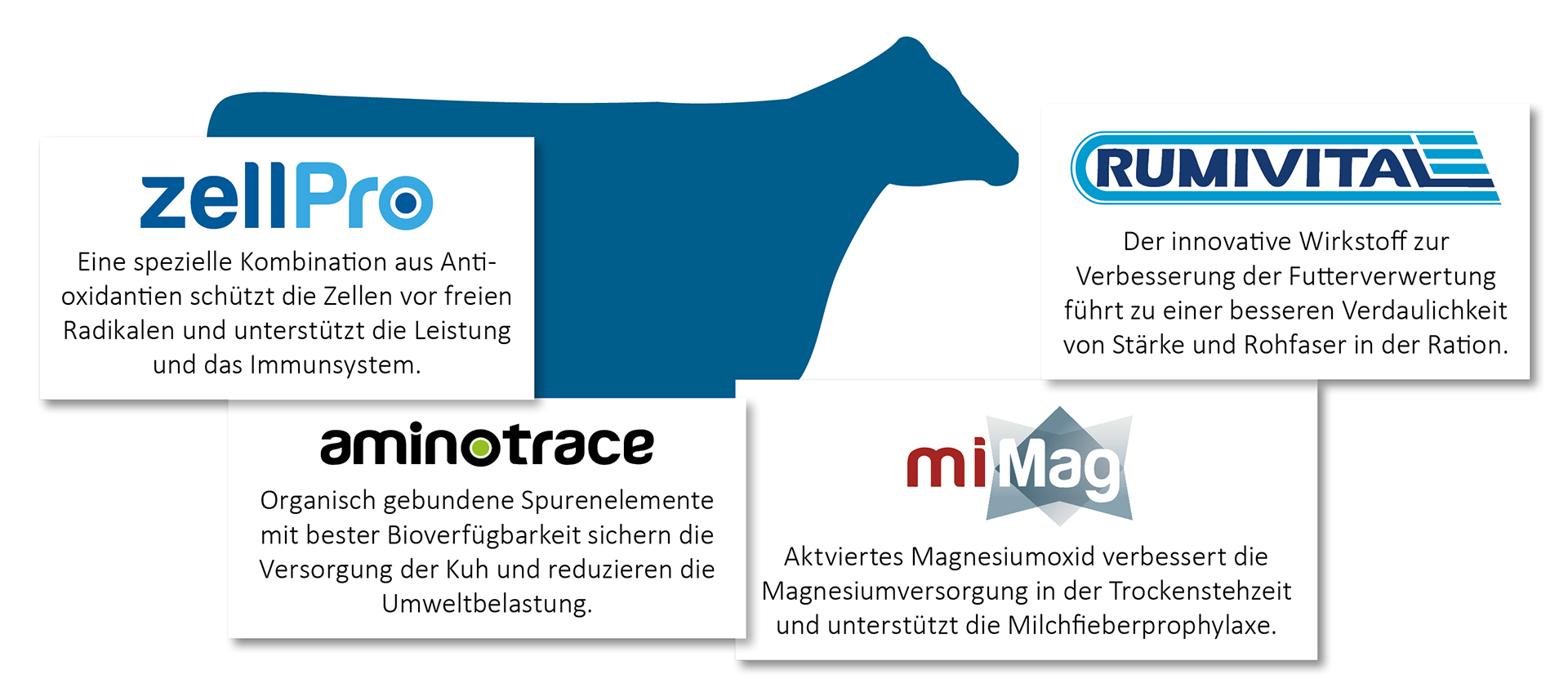 SCHAUMANN-Wirkstoffe in den RINDAVITAL VK-Produkten
