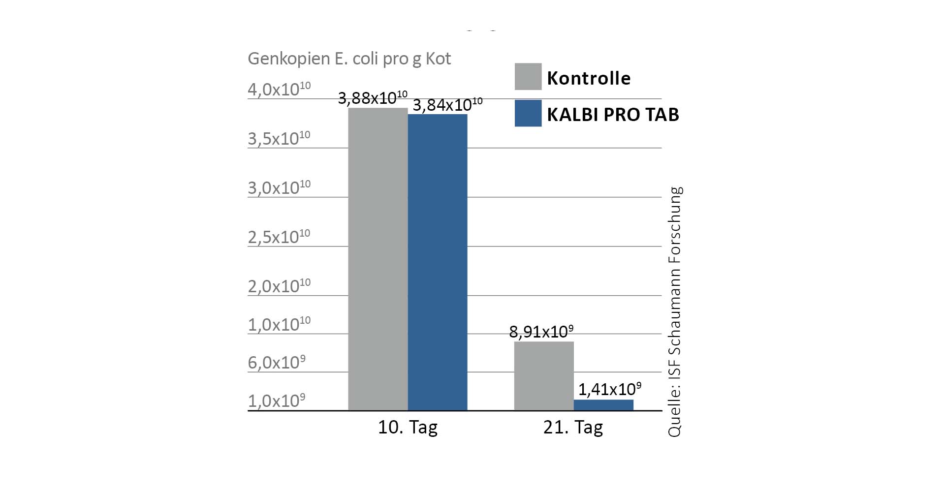 Die Milchsäurebakterien in KALBI PRO TAB reduzieren die Entwicklung und Vermehrung von pathogenen Erregern