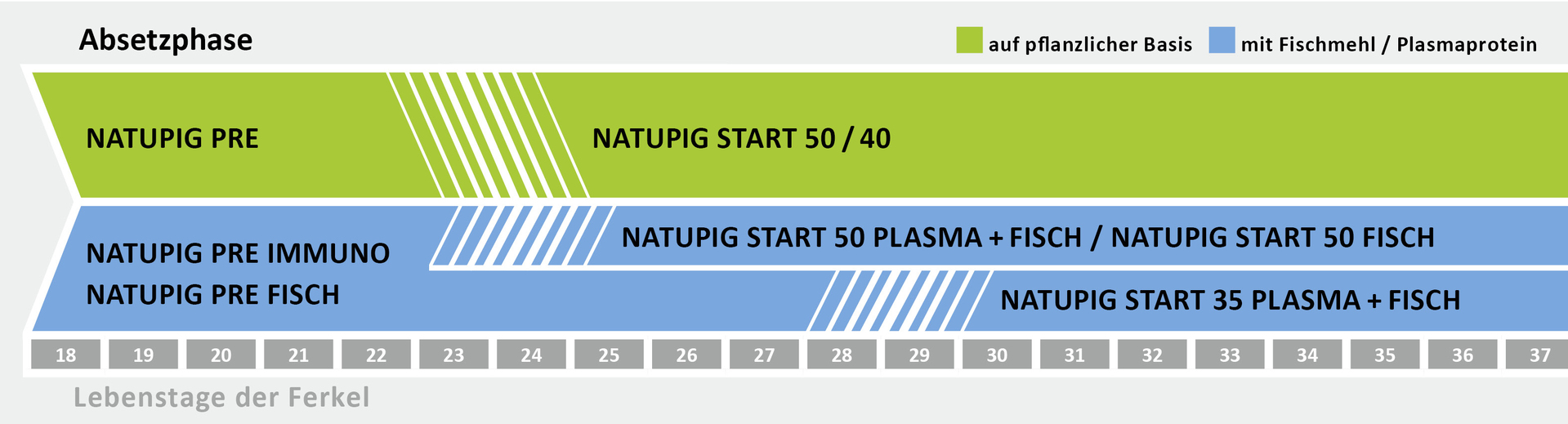 Fütterung in der Absetzphase