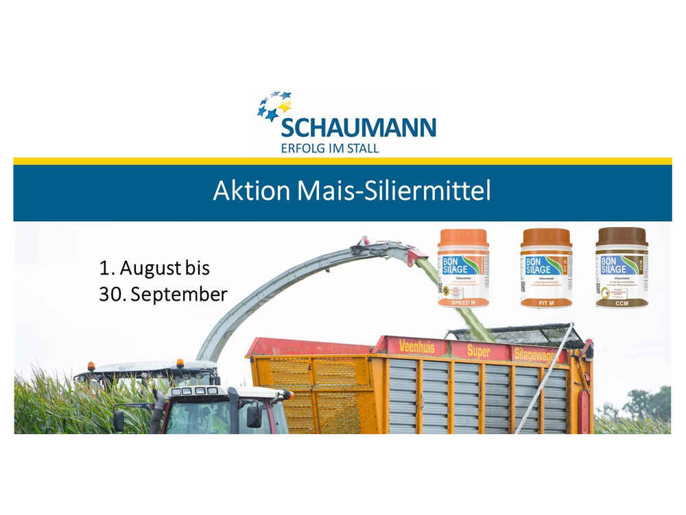 BONSILAGE zu Sonderpreisen