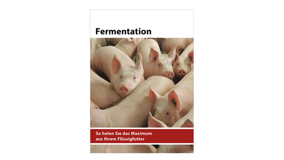 Fermenationsfibel